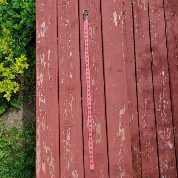 Old Navy belt - Picture 10 of 10